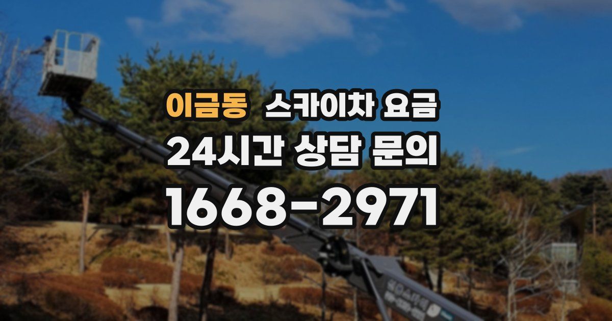 이금동 스카이차 요금