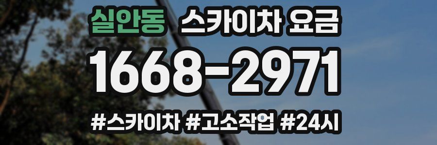 실안동 스카이차 요금