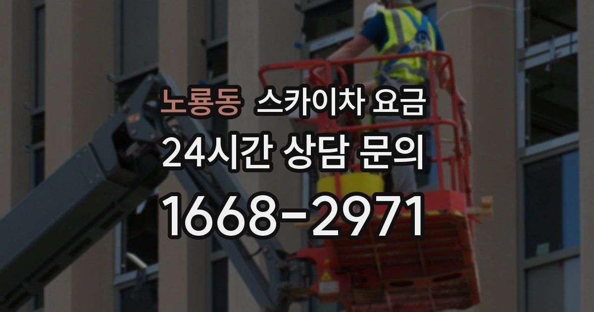 노룡동 스카이차 요금