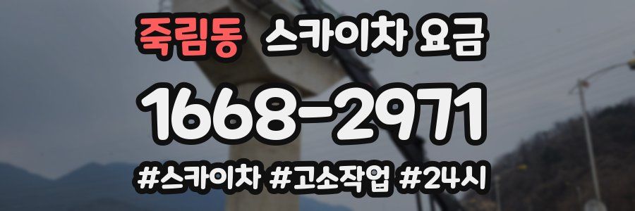 죽림동 스카이차 요금