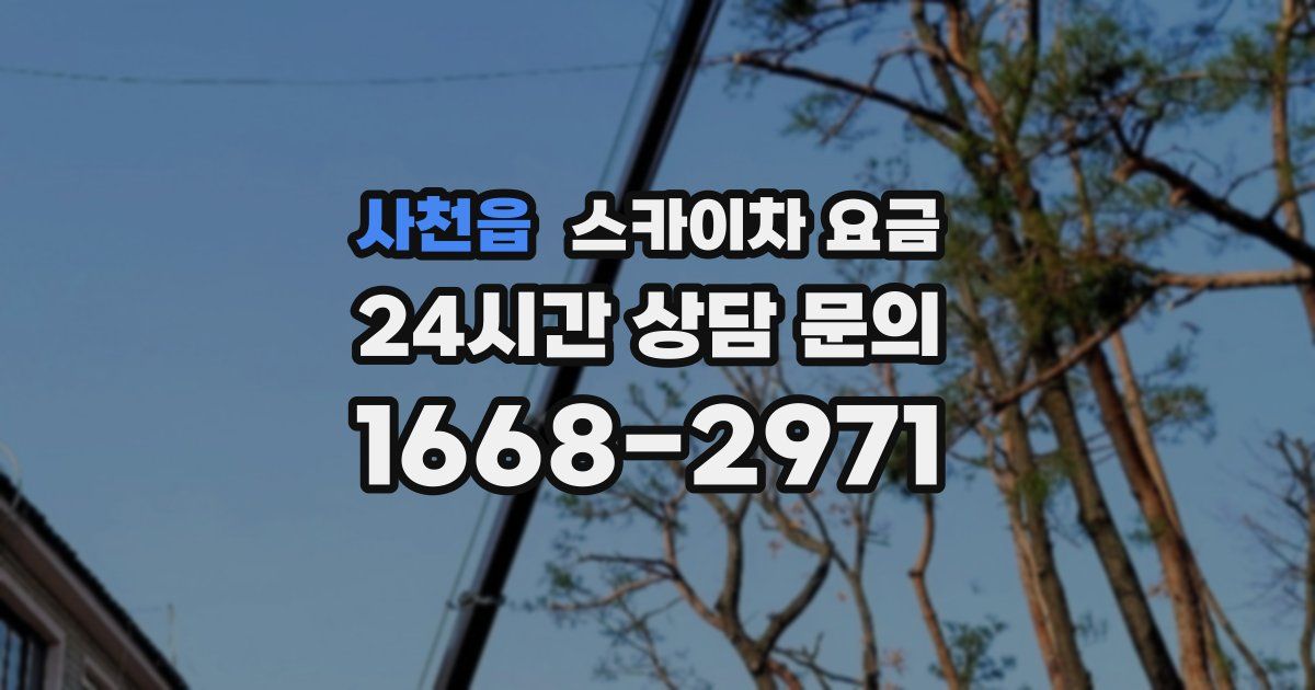 사천읍 스카이차 요금