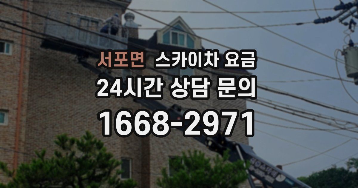 서포면 스카이차 요금