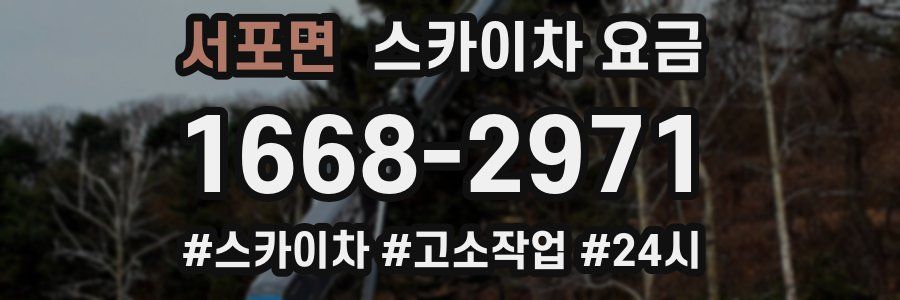 서포면 스카이차 요금