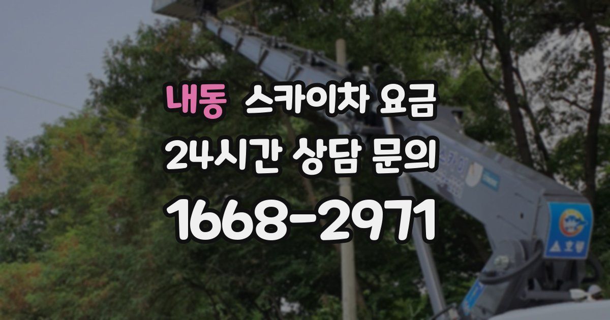 내동 스카이차 요금