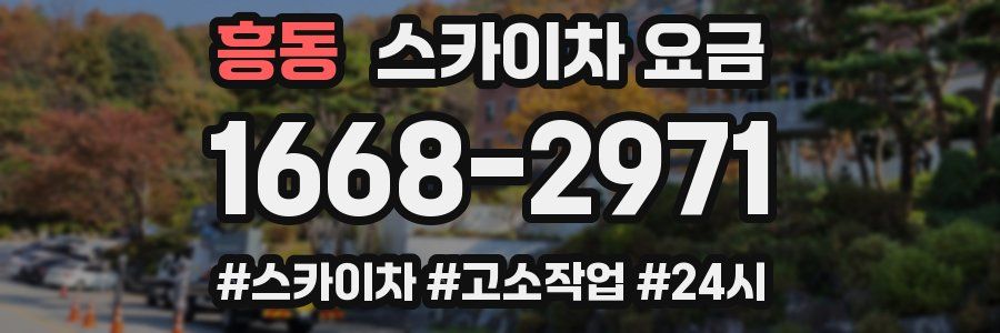 흥동 스카이차 요금