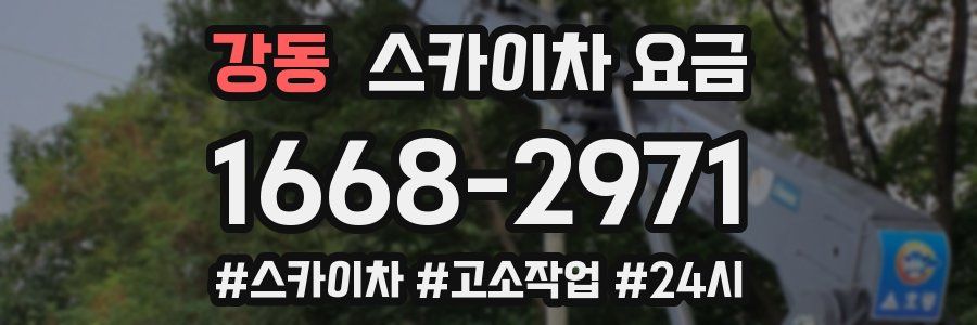 강동 스카이차 요금