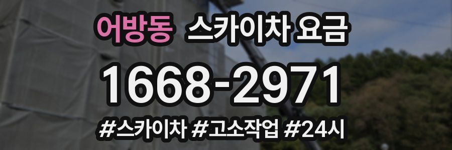 어방동 스카이차 요금