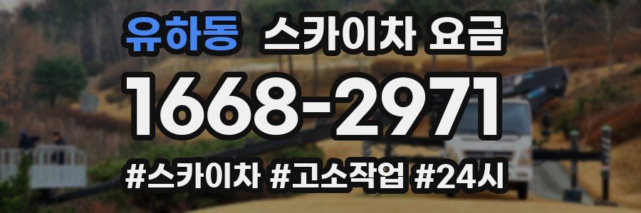 유하동 스카이차 요금