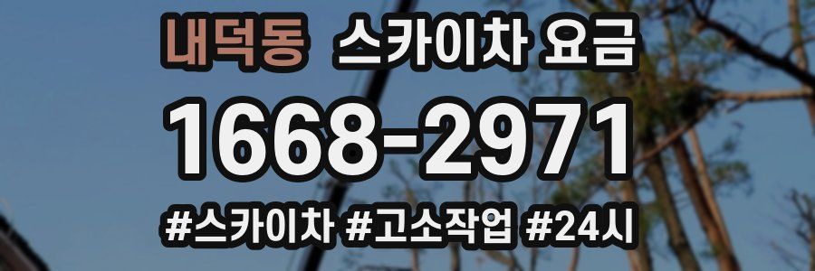 내덕동 스카이차 요금