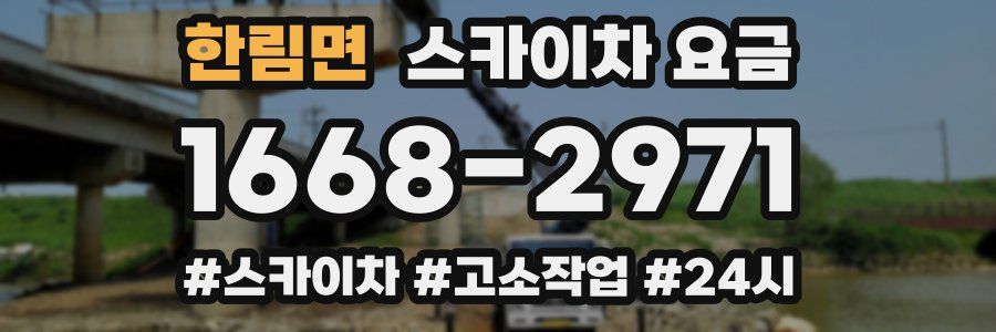 한림면 스카이차 요금