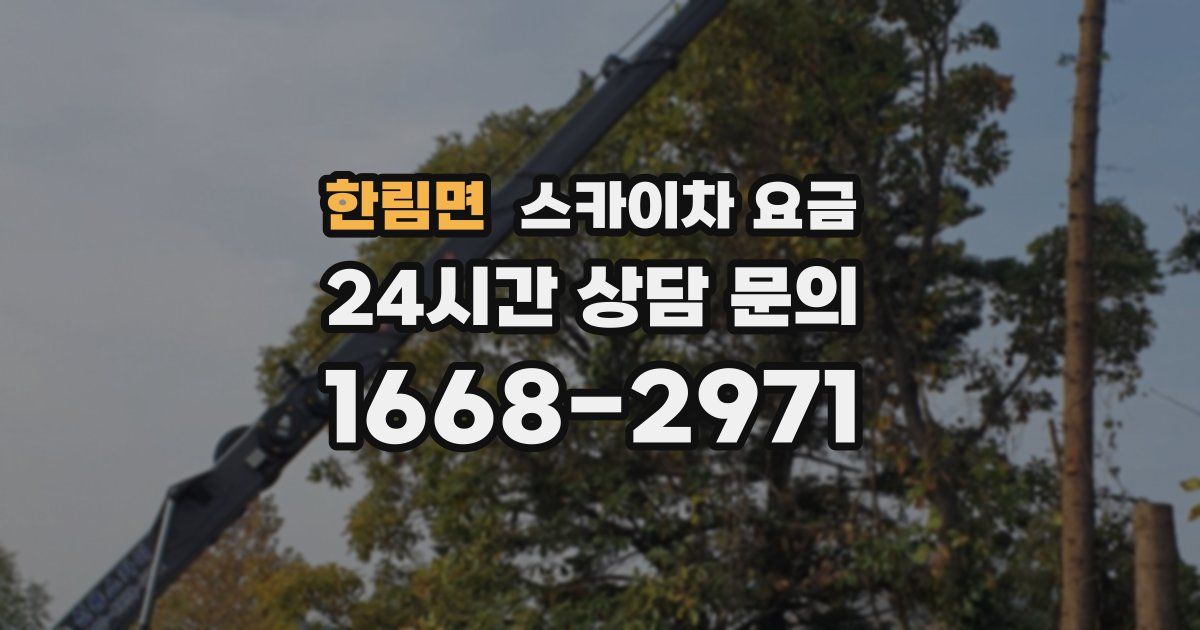 한림면 스카이차 요금