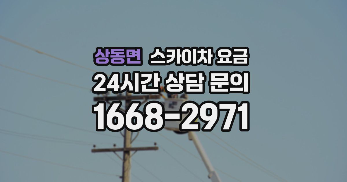 상동면 스카이차 요금