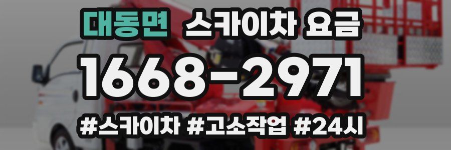 대동면 스카이차 요금