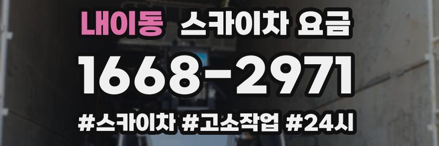 내이동 스카이차 요금