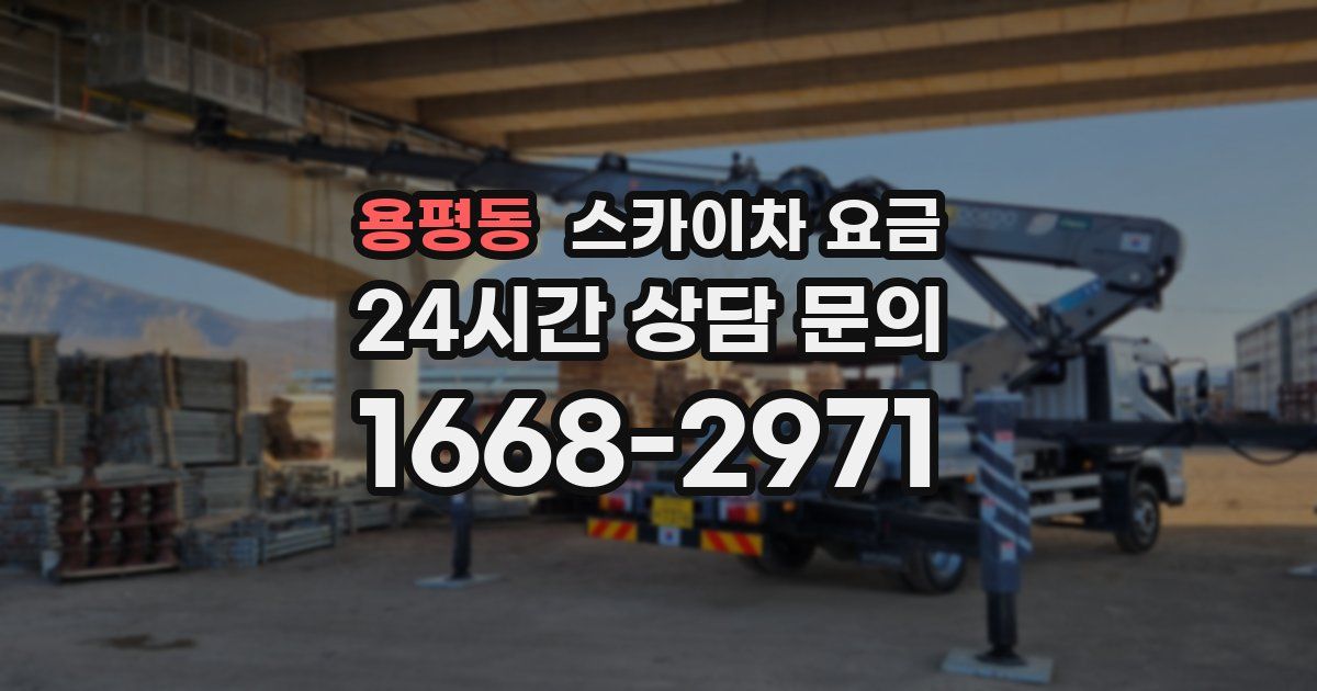 용평동 스카이차 요금