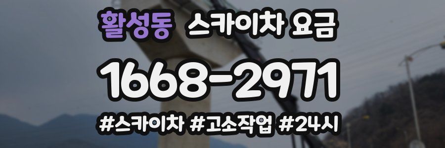 활성동 스카이차 요금