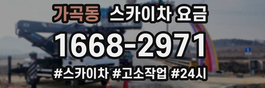 가곡동 스카이차 요금