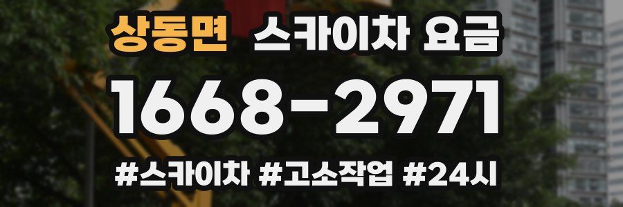 상동면 스카이차 요금