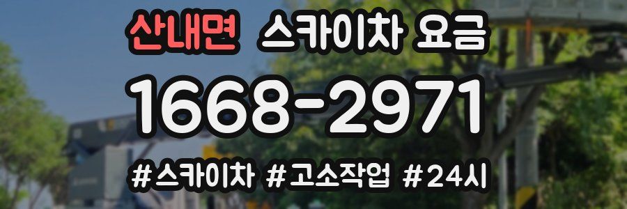 산내면 스카이차 요금