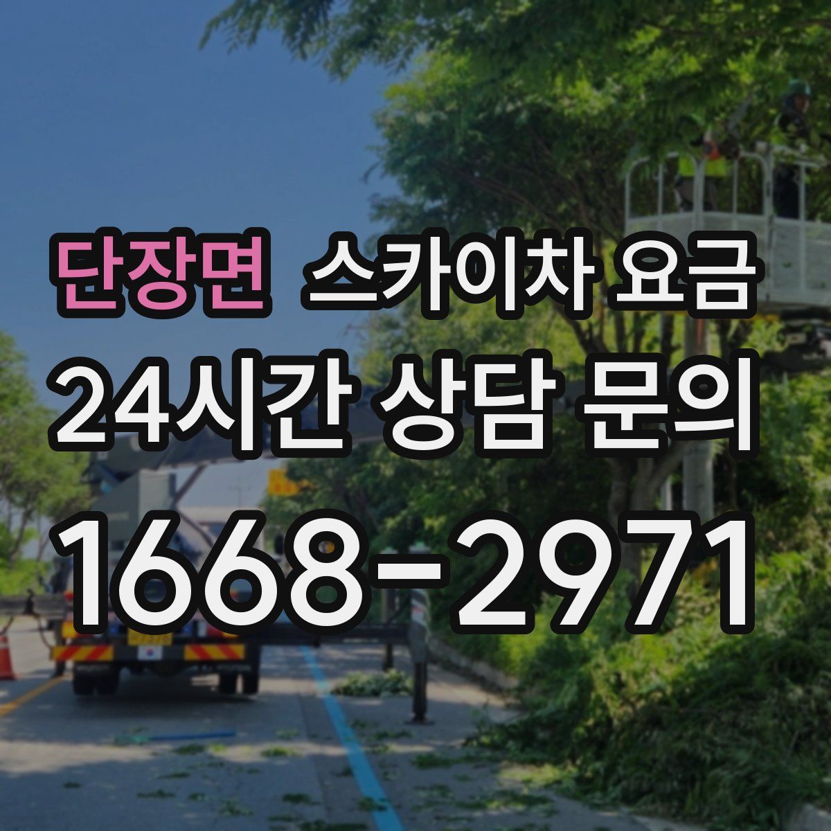 단장면 스카이차 요금