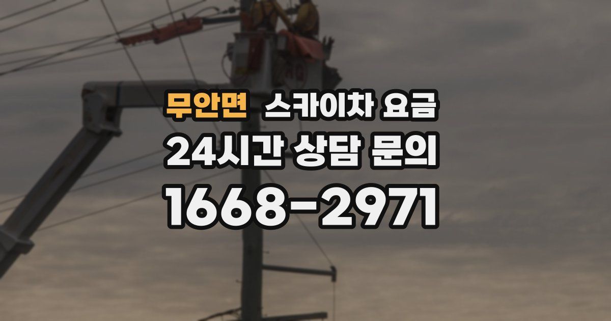 무안면 스카이차 요금