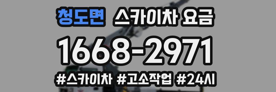 청도면 스카이차 요금