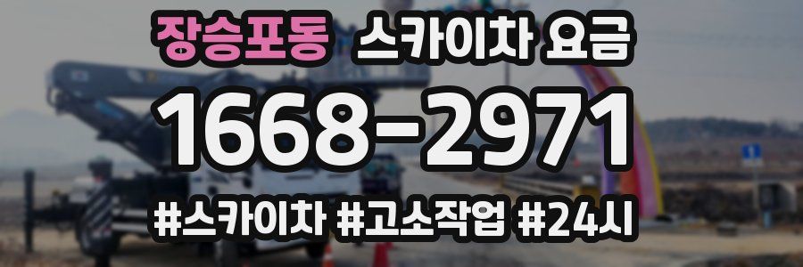 장승포동 스카이차 요금