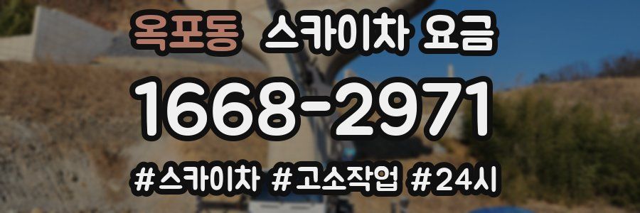 옥포동 스카이차 요금