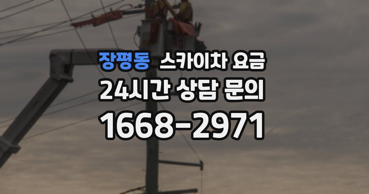 장평동 스카이차 요금