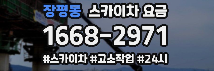 장평동 스카이차 요금