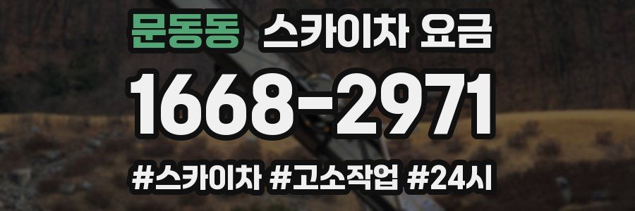 문동동 스카이차 요금