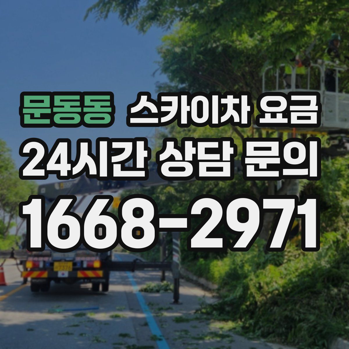 문동동 스카이차 요금