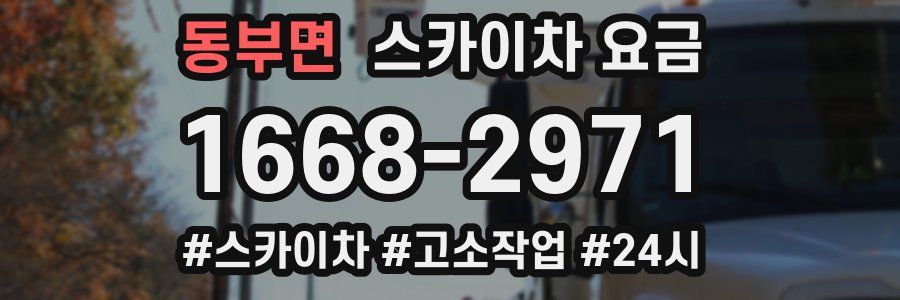 동부면 스카이차 요금