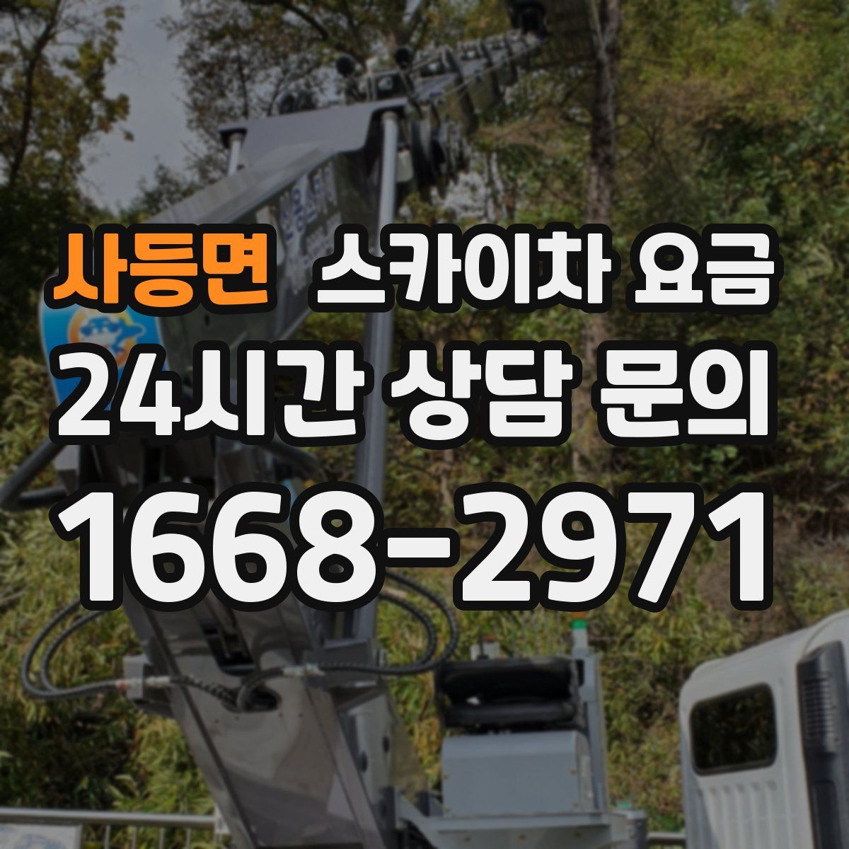 사등면 스카이차 요금