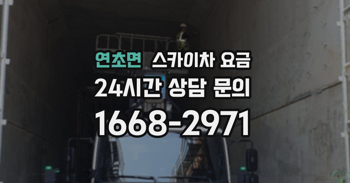 연초면 스카이차 요금