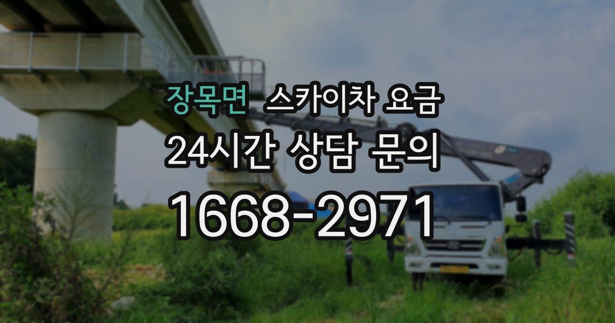 장목면 스카이차 요금