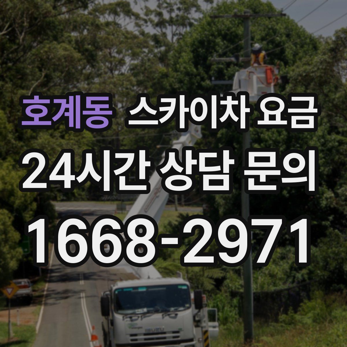 호계동 스카이차 요금