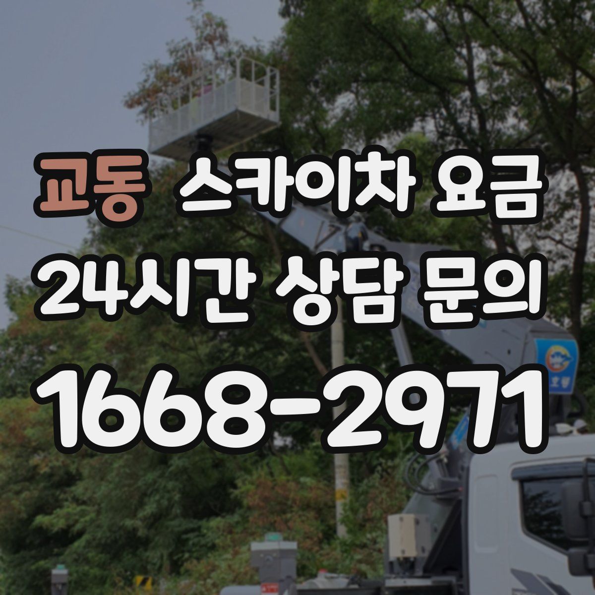 교동 스카이차 요금