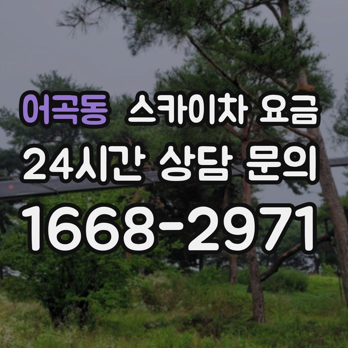 어곡동 스카이차 요금