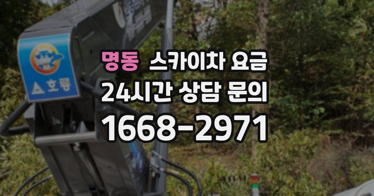 명동 스카이차 요금