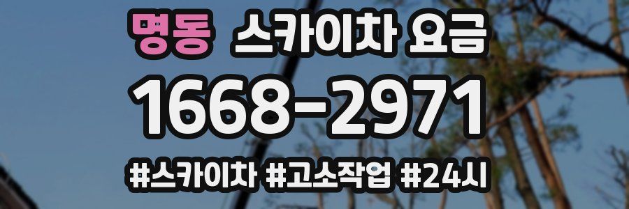 명동 스카이차 요금