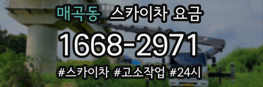 매곡동 스카이차 요금