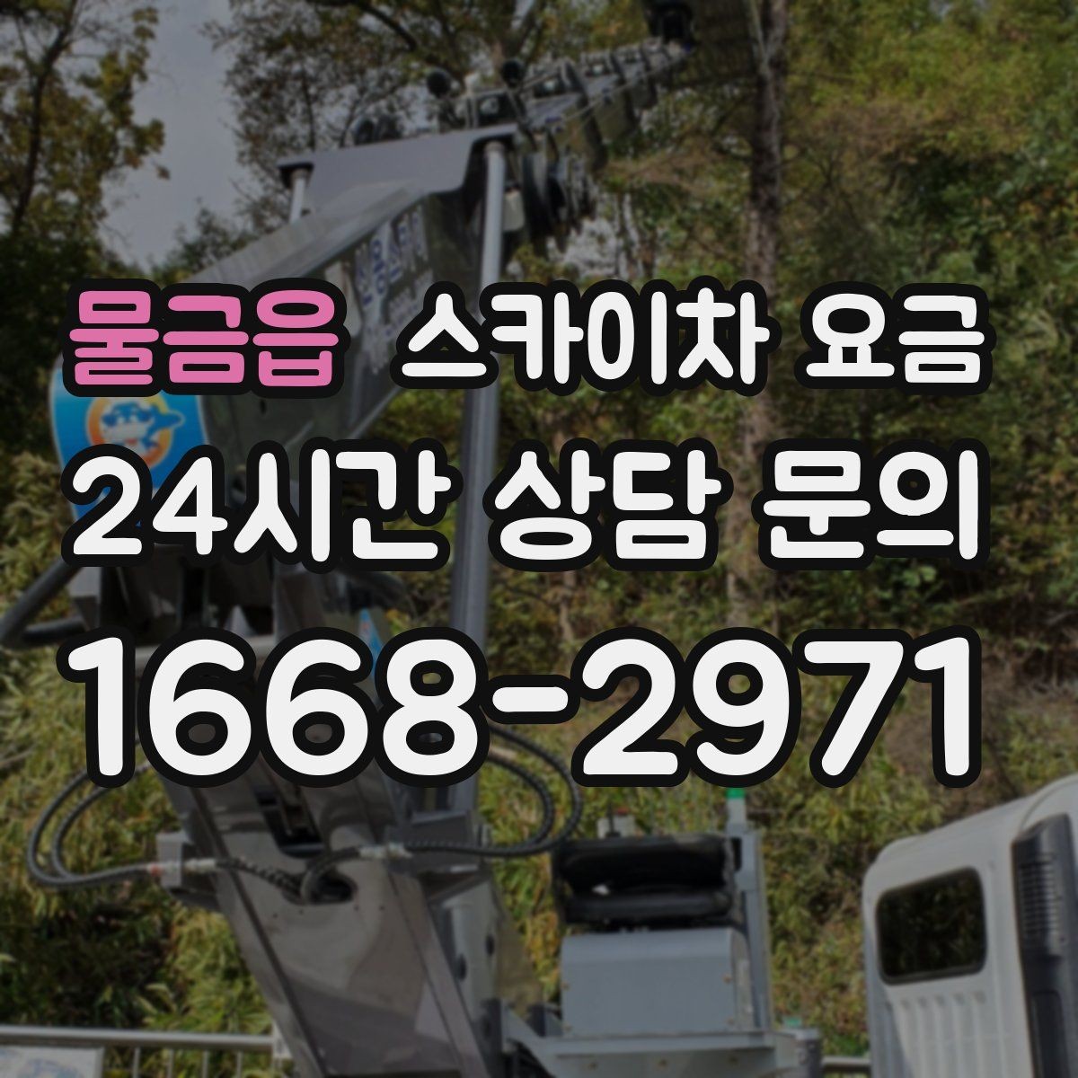 물금읍 스카이차 요금 작업 유형별로 달라지는 견적 포인트 모음