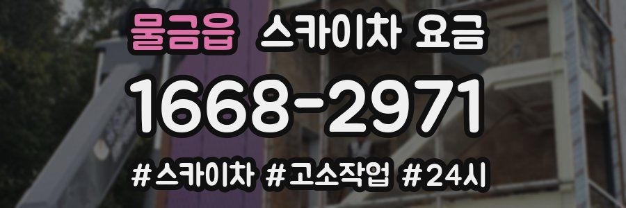 물금읍 스카이차 요금