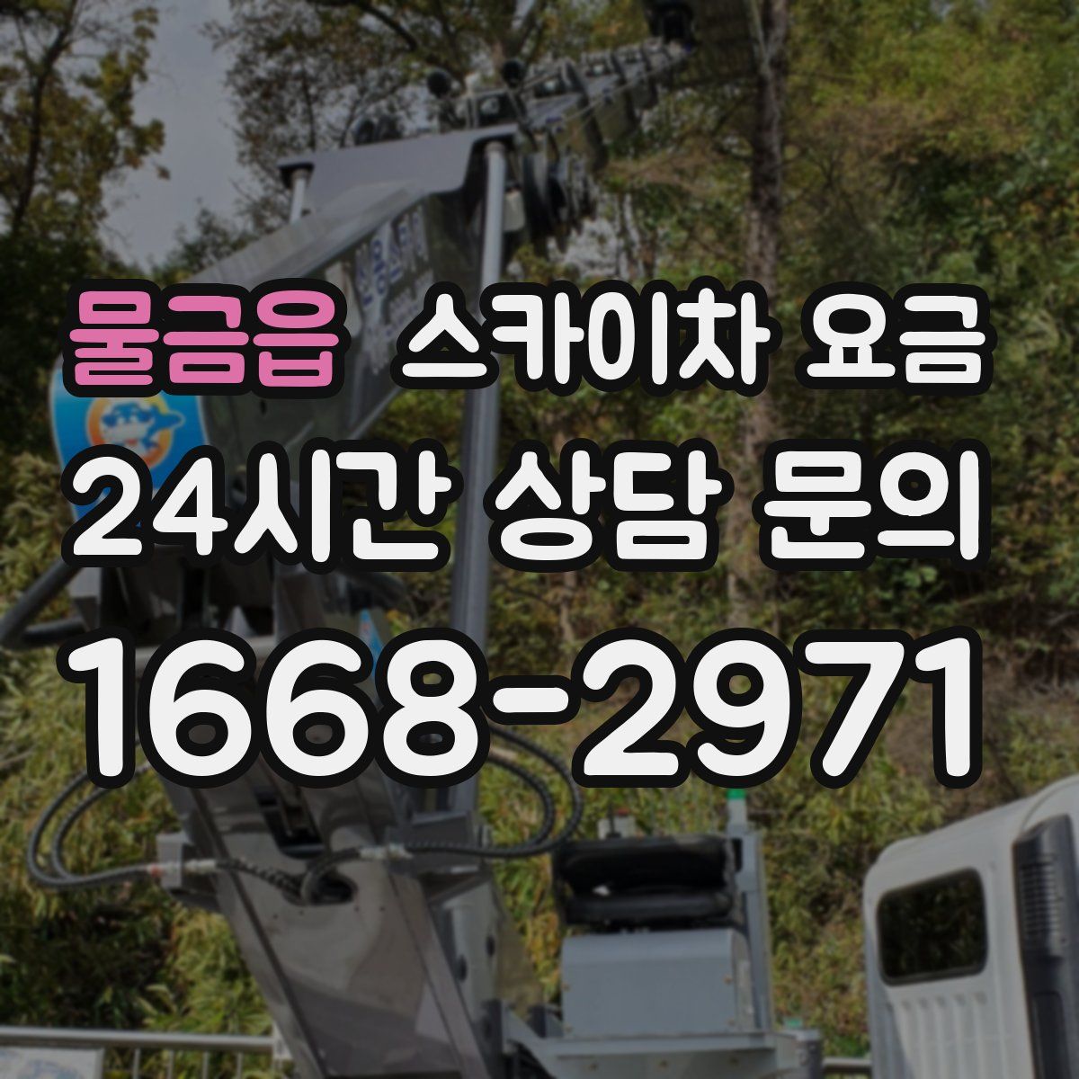 물금읍 스카이차 요금