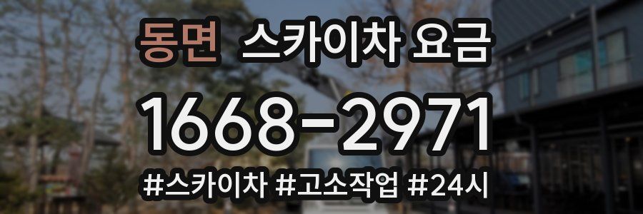 동면 스카이차 요금