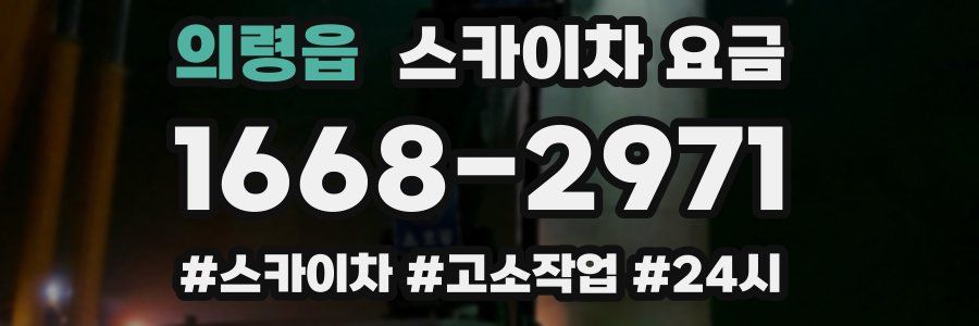 의령읍 스카이차 요금