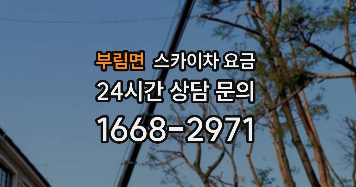 부림면 스카이차 요금