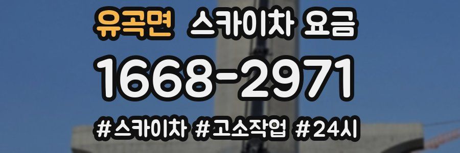 유곡면 스카이차 요금