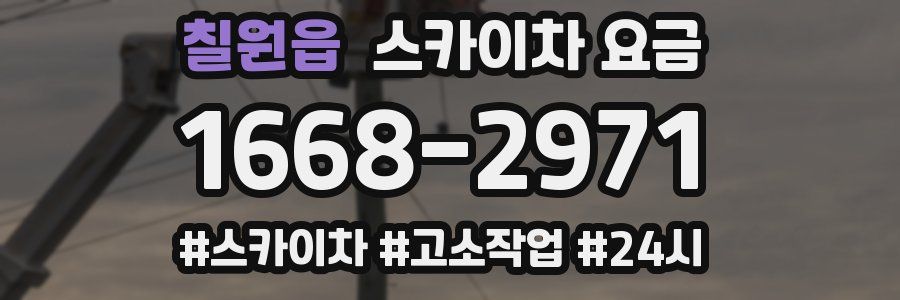 칠원읍 스카이차 요금